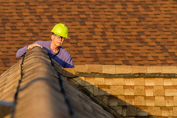 Best Roof Gutter Cleaning  in Hudson Falls, NY